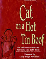 Cat on a Hot Tin Roof