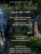 Into the Woods