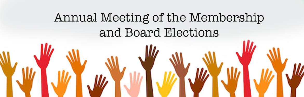 Cast Your Vote For The 2020-2021 PSP Executive Board