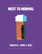 Next to Normal